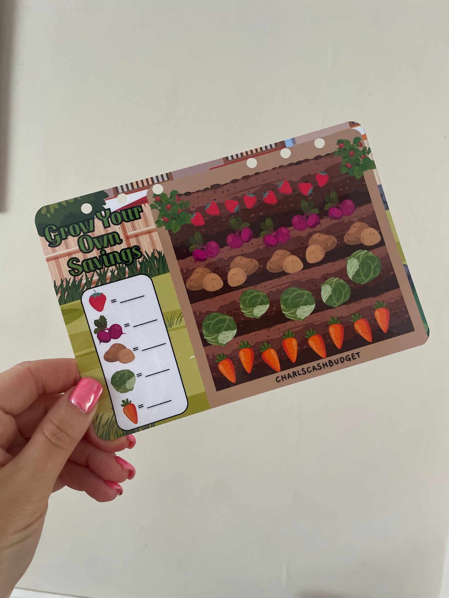 The Saver Garden - Summer Edition