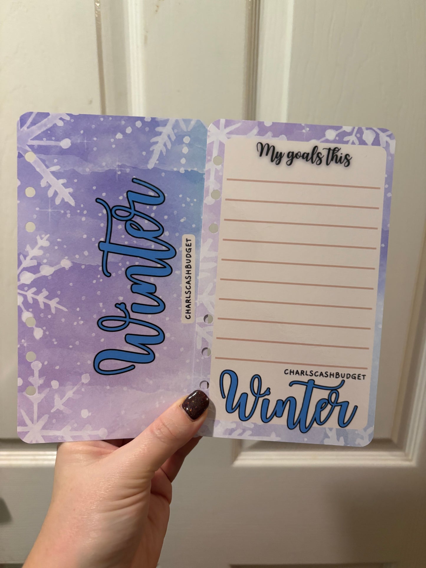 Four Seasons Dashboard Savings Challenge