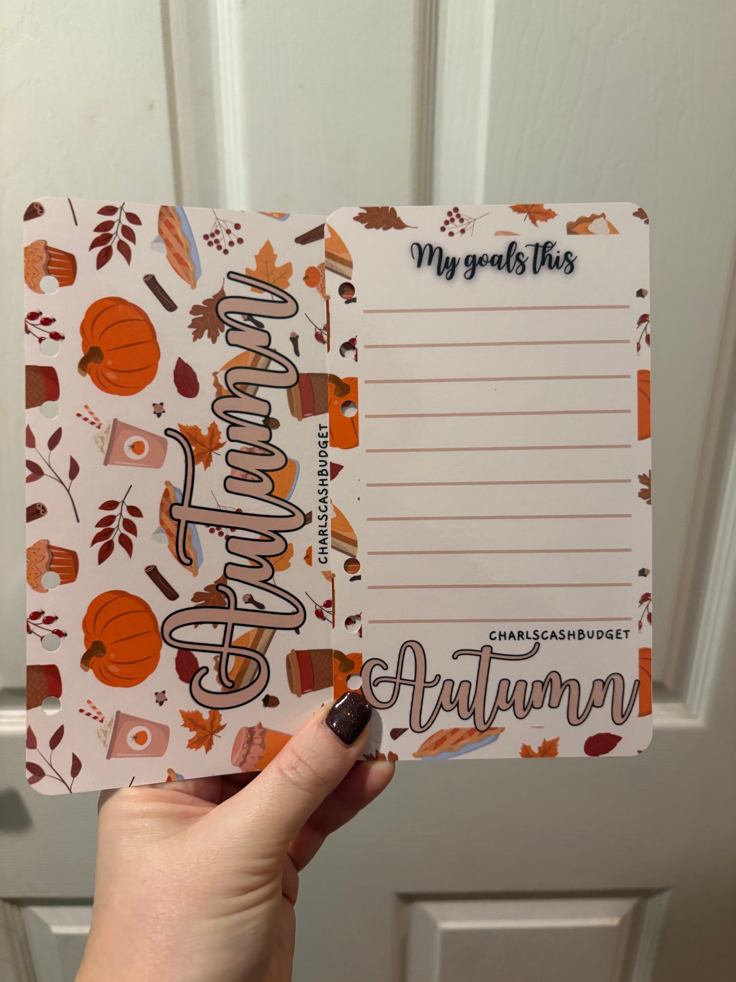 Four Seasons Dashboard Savings Challenge