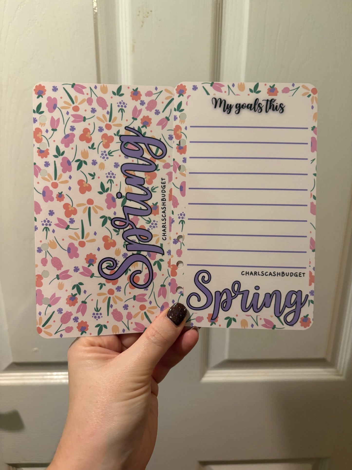 Four Seasons Dashboard Savings Challenge