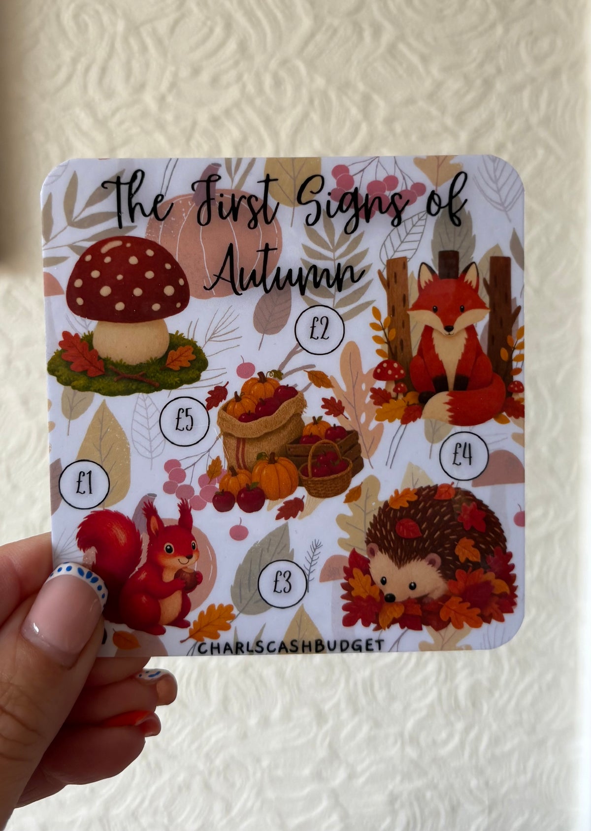Mini Savings Trackers