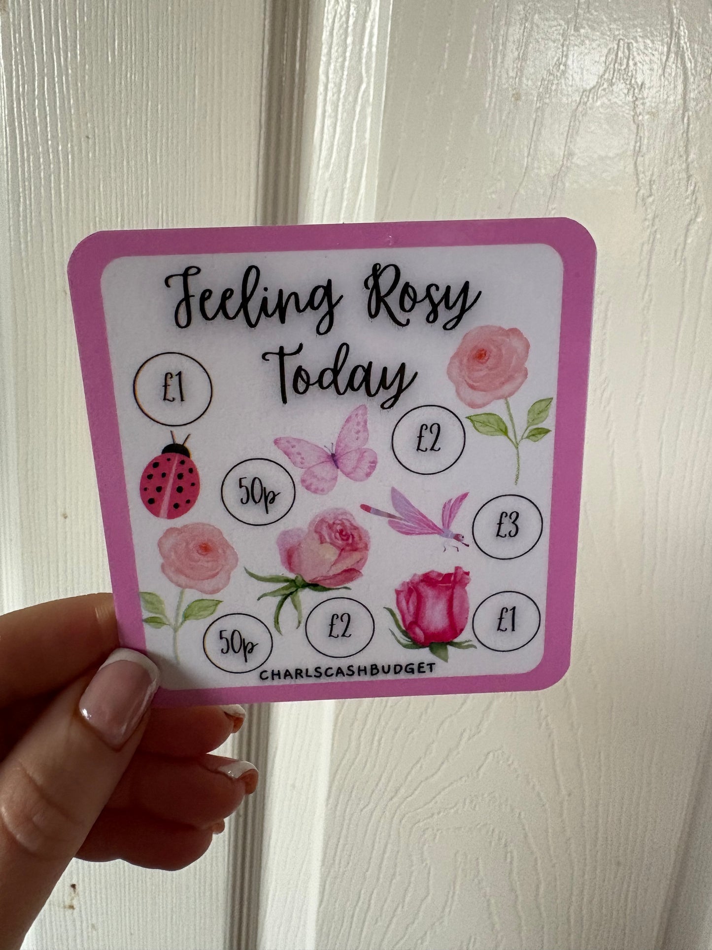 The Mini Pink Savings Challenge  Collection