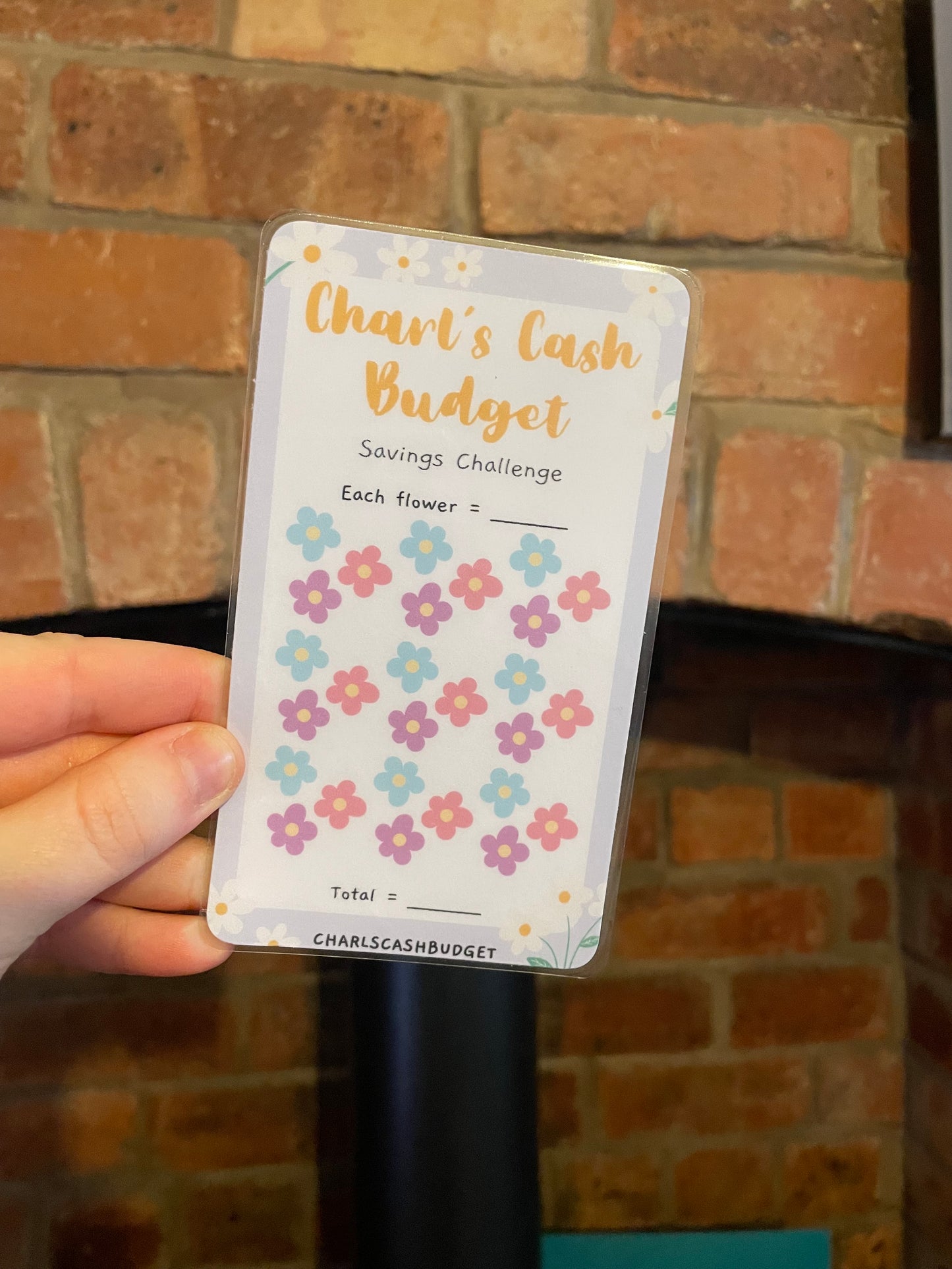 Charl’s Cash Budget Savings Challenge