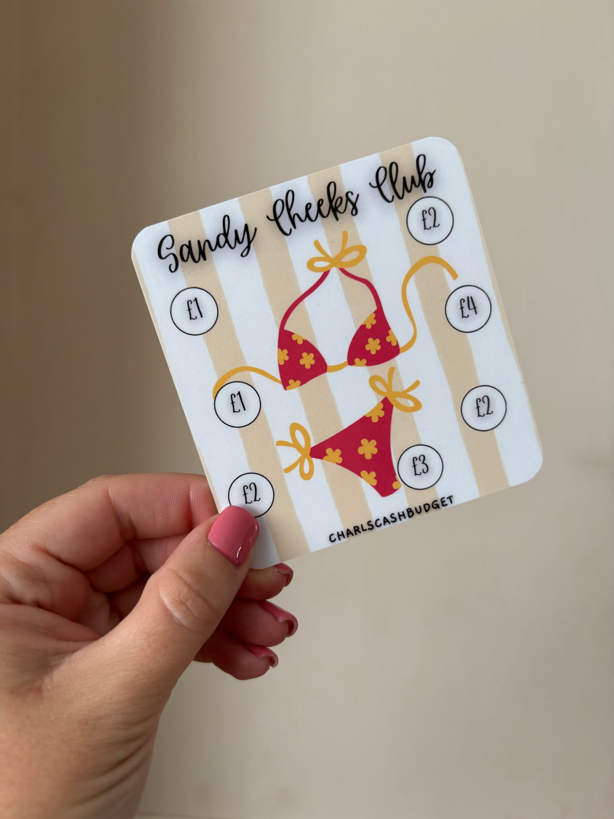 Mini Savings Trackers