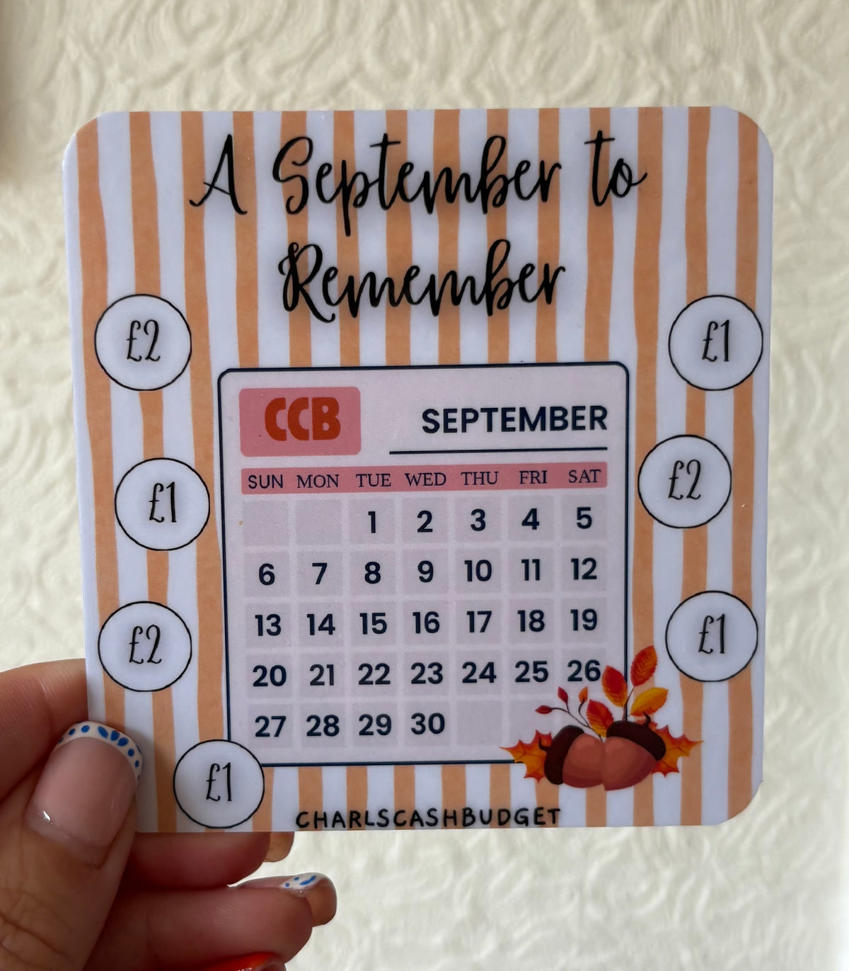 Mini Savings Trackers