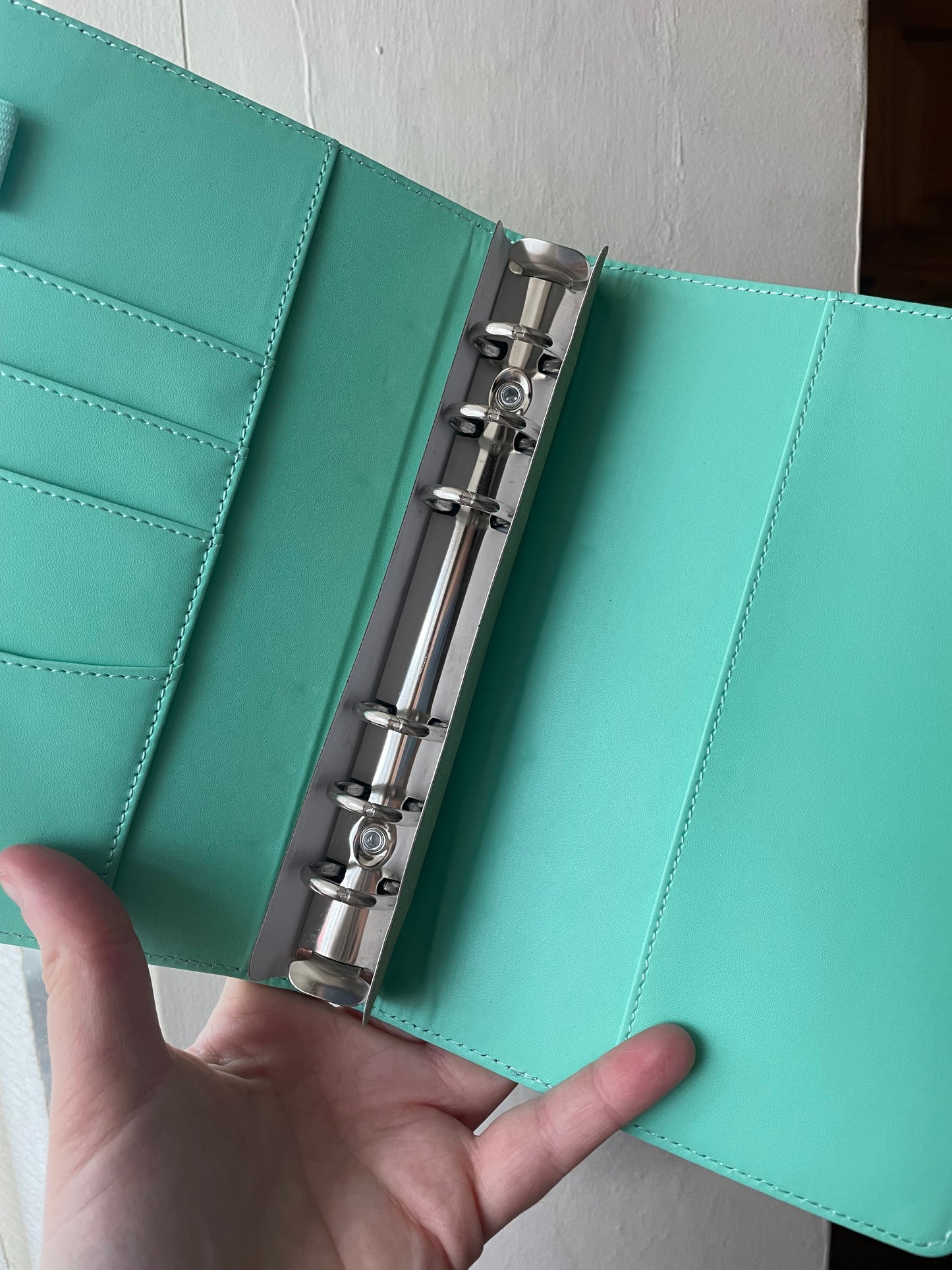 Mint A6 Budget Binder