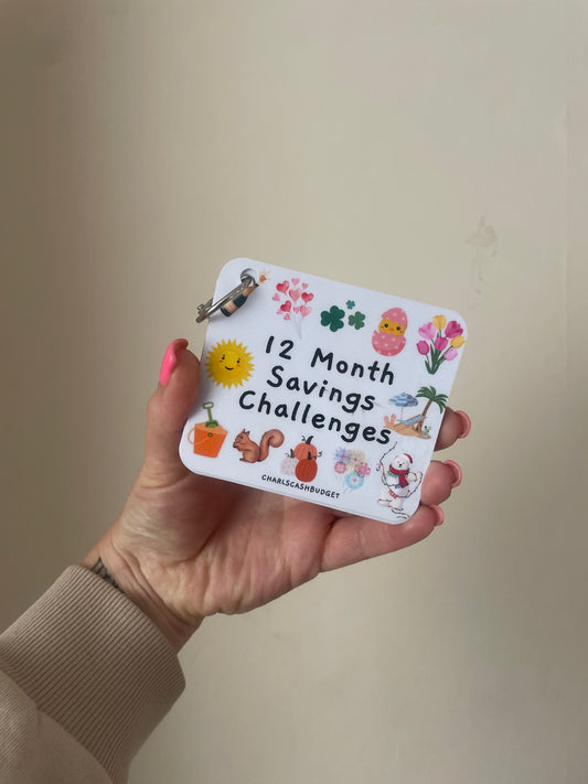 12 Month Savings Challenges